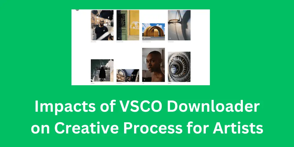 Impacts of VSCO Downloader on Creativity